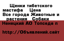 Щенки тибетского мастифа. › Цена ­ 30 000 - Все города Животные и растения » Собаки   . Ненецкий АО,Топседа п.